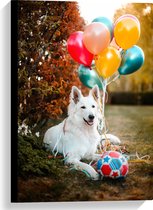 WallClassics - Canvas - Liggende Hond met Bal en Ballonnen - 40x60 cm Foto op Canvas Schilderij (Wanddecoratie op Canvas)