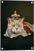 Tuinposter – Kat als Koning met Kroontje - 40x60 cm Foto op Tuinposter (wanddecoratie voor buiten en binnen)