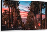 Canvas - Los Angeles Hollywood met Palmbomen - 120x80 cm Foto op Canvas Schilderij (Wanddecoratie op Canvas)