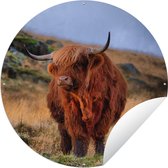 Tuincirkel Schotse Hooglander - Gras - Stenen - 90x90 cm - Ronde Tuinposter - Buiten