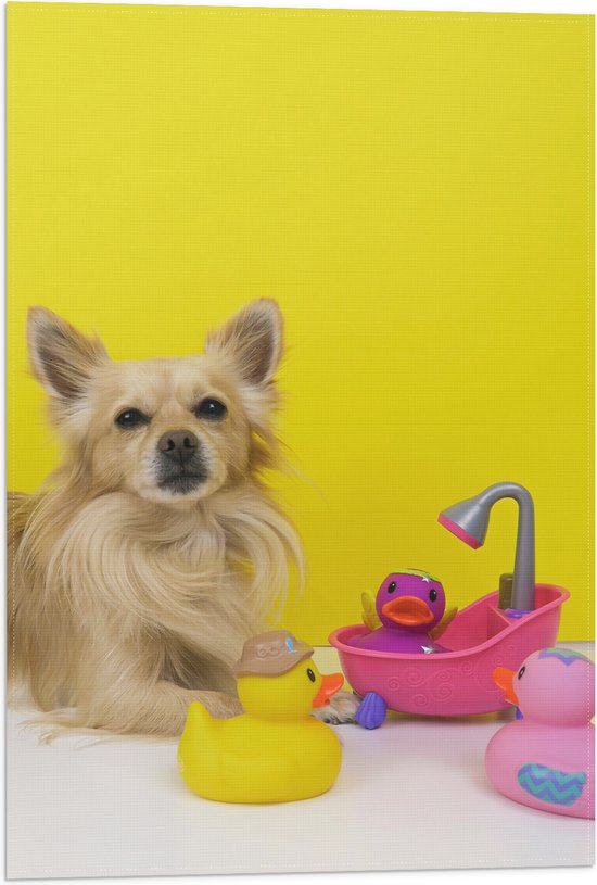WallClassics - Vlag - Chihuahua met Roze Badkuip en Eendjes tegen Gele Achtergrond - 40x60 cm Foto op Polyester Vlag