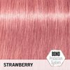 Schwarzkopf Professional - Schwarzkopf BlondMe Toning Strawberry 60ml - New