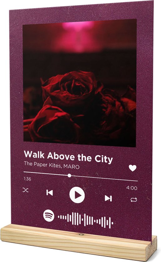 Songr Spotify Muziek Bordje Walk Above the City The Paper Kites, MARO 20x30