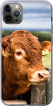 Geschikt voor iPhone 12 Pro Max hoesje - Schotse Hooglander - Berg - Hek - Siliconen Telefoonhoesje