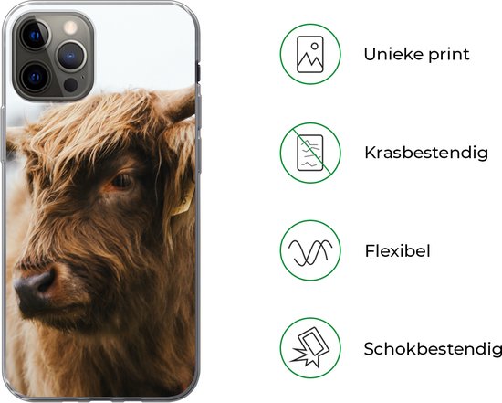 Coque iPhone 13 Pro - Highlander écossais - Animaux - Cornes - Siliconen