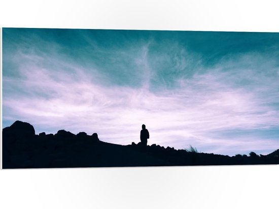 WallClassics - PVC Schuimplaat - Silhouette van Man op een Berg - 100x50 cm Foto op PVC Schuimplaat (Met Ophangsysteem)