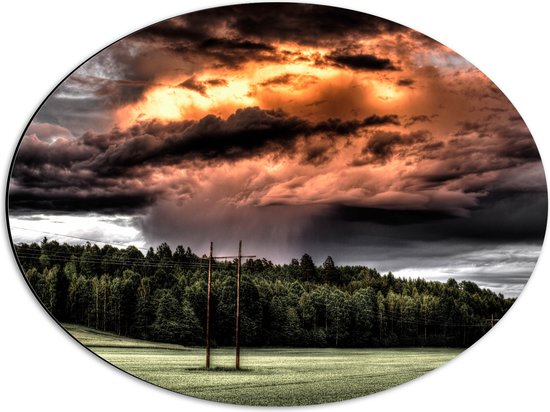 WallClassics - Dibond Ovaal - Zon achter Regenwolken boven Bos - 56x42 cm Foto op Ovaal (Met Ophangsysteem)