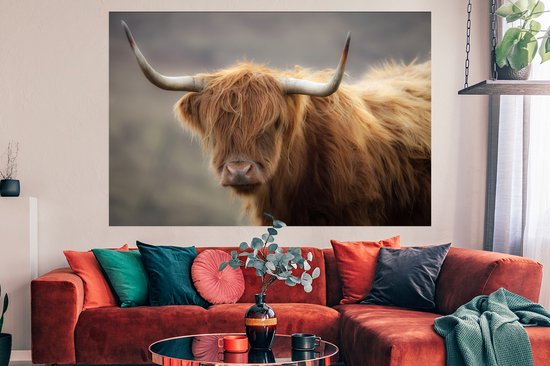 Close up of a Scottish Highlander Poster 180x120 cm - Tirage photo sur Poster (décoration murale salon / chambre) / Poster Animaux sauvages XXL / Grand format!