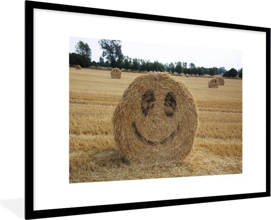 Photo dans le cadre - Ballot de paille avec un visage comique sur le côté  cadre photo... | bol.com