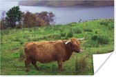 Highlander écossais en papier pour affiche de pâturage