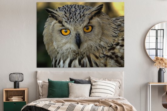 Photo d'une toile européenne hibou grand-duc d'Asie 160x120 cm - Tirage photo sur toile (Décoration murale salon / chambre) XXL / Groot format!