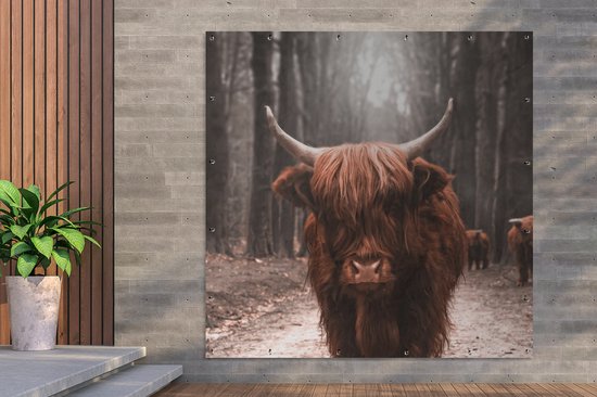 Affiche de Jardin Highlander écossais - Animaux - Vaches - 200x200 cm