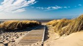 Fotobehang - Vlies Behang - Strandpad door de Duinen - Zee - Strand - 416 x 254 cm