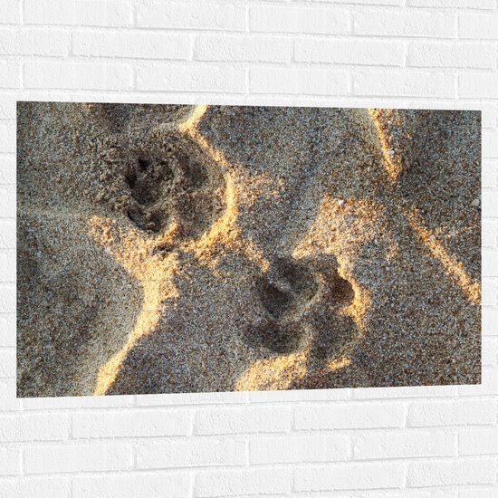 Muursticker - Hondenpootjes in Zand van Strand - 105x70 cm Foto op Muursticker