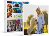 Bongo Bon - MEET, GREET & FEED MET ALPACA'S INCLUSIEF FOTOSHOOT VOOR 6 - Cadeaukaart cadeau voor man of vrouw