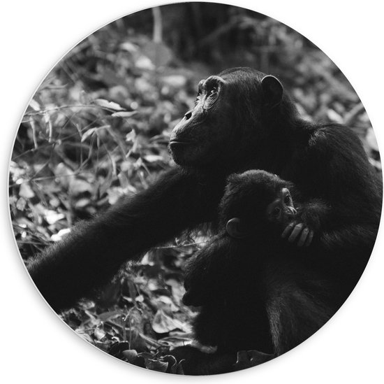 WallClassics - PVC Schuimplaat Muurcirkel - Chimpansee Moeder met haar Jong (zwart- wit) - 60x60 cm Foto op Muurcirkel (met ophangsysteem)