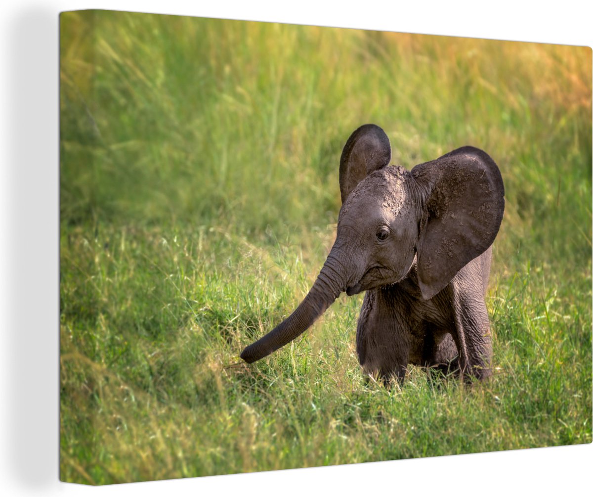 Canvas Schilderij Olifant - Baby - Kalf - 60x40 cm - Wanddecoratie