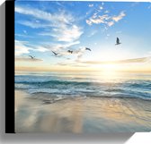 WallClassics - Toile - Mouettes au-dessus de la plage et de la mer - Tableau 30x30 cm sur toile (Décoration murale sur toile)