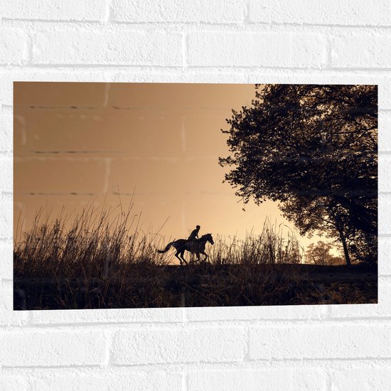 WallClassics - Muursticker - Silhouette van een Paardrijder - 60x40 cm Foto op Muursticker