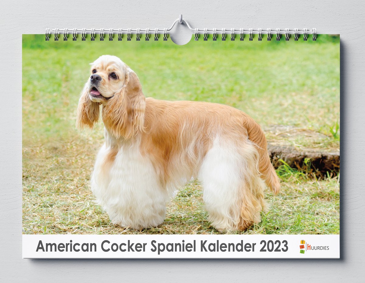 American Cocker Spaniel kalender 2023 | 35x24 cm | jaarkalender 2023 | Wandkalender 2023