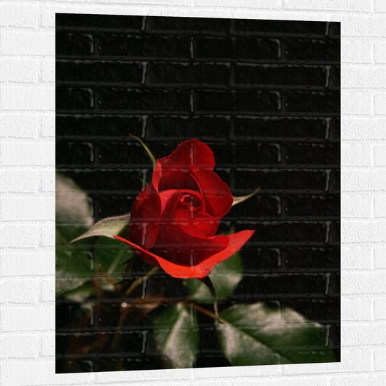 WallClassics - Muursticker - Close-Up Rode Roos met Groene Bladeren - 75x100 cm Foto op Muursticker