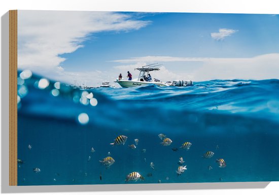 WallClassics - Hout - Scheiding van Water en Lucht - Vissen onder een Boot - 60x40 cm - 12 mm dik - Foto op Hout (Met Ophangsysteem)