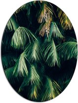WallClassics - Dibond Ovaal - Hangende Groene Bladeren - 51x68 cm Foto op Ovaal (Met Ophangsysteem)