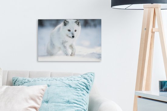 Arctic Fox traverse la neige 30x20 cm - petit - Tirage photo sur toile (Décoration murale salon / chambre) / animaux sauvages Peintures sur toile