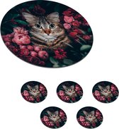Kattenmok