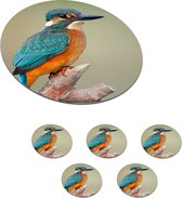 Onderzetters voor glazen - Rond - Vogel - IJsvogel - Tak - 10x10 cm - Glasonderzetters - 6 stuks