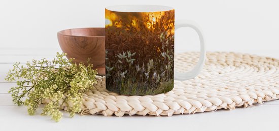 Mug - Mug à Café - Cerf - Plantes - Coucher de Soleil - Animaux Sauvages - Nature - Mugs - 350 ML - Tasse - Mugs à Café - Mug à Thé