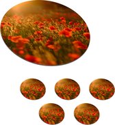 Onderzetters voor glazen - Rond - Oranje gloed over de Klaprozen in het veld - 10x10 cm - Glasonderzetters - 6 stuks