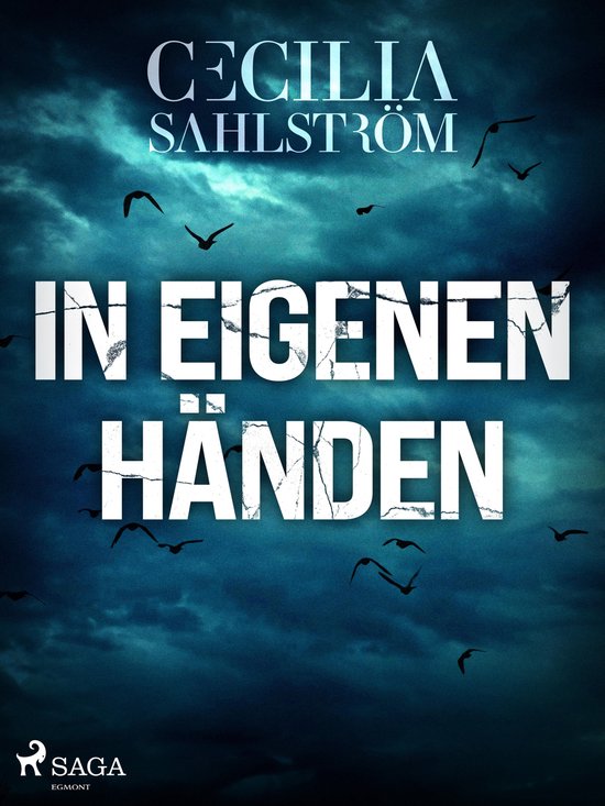 Sara Vallén 2 - In eigenen Händen