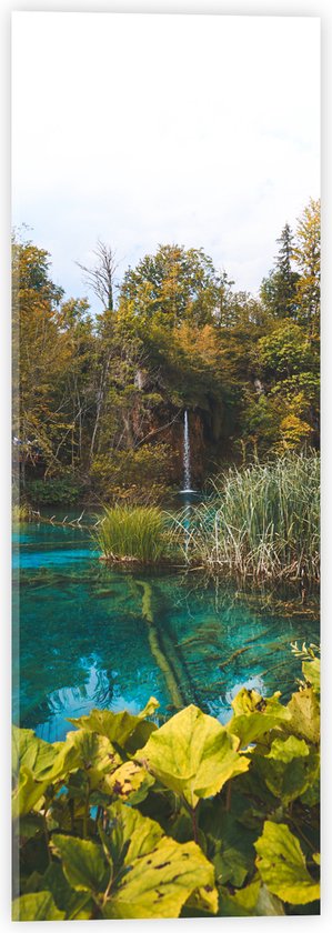 WallClassics - Acrylglas - Helder Blauw Water tussen Groene Planten - 20x60 cm Foto op Acrylglas (Met Ophangsysteem)