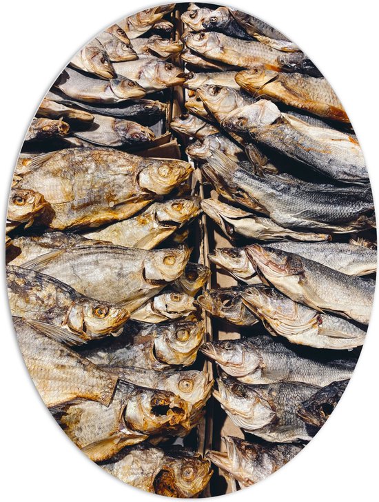 WallClassics - PVC Schuimplaat Ovaal - Verse Vissen op een Vismarkt - 60x80 cm Foto op Ovaal  (Met Ophangsysteem)