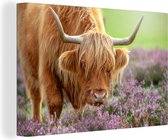 Tableau sur toile Scottish Highlander - Violet - Fleurs - 60x40 cm - Décoration murale