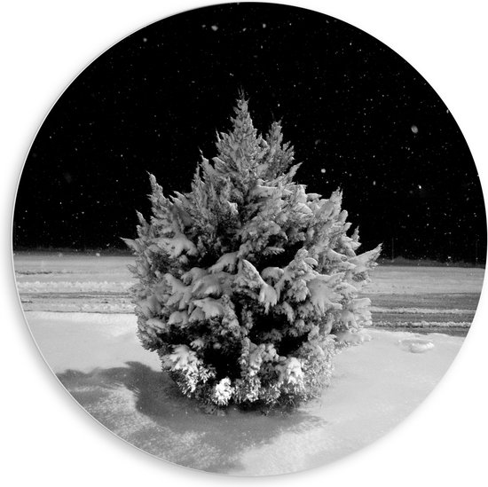 WallClassics - PVC Schuimplaat Muurcirkel - Wit Besneeuwde Kerstboom in het Donker - 80x80 cm Foto op Muurcirkel (met ophangsysteem)