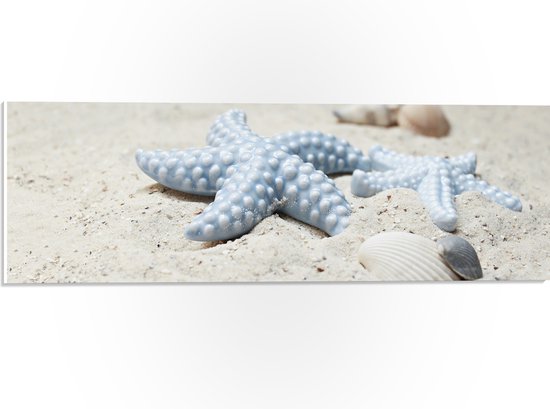 WallClassics - PVC Schuimplaat - Blauwe Zeesterren op het Strand - 60x20 cm Foto op PVC Schuimplaat (Met Ophangsysteem)