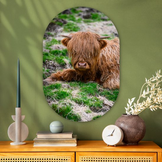 Ovale mural - Décoration murale en plastique - Peinture ovale - Highlander écossais - Foin - Herbe - 60x90 cm - Forme miroir ovale sur plastique