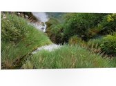 WallClassics - PVC Schuimplaat- Waterval tussen Gras - 100x50 cm Foto op PVC Schuimplaat