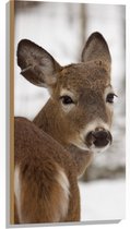 WallClassics - Hout - Hertje in de Sneeuw - 50x100 cm - 12 mm dik - Foto op Hout (Met Ophangsysteem)