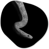 Décoration murale Organique - Décoration Décoration murale Plastique - Peinture Organique - Animaux - Serpent - Zwart - Wit - Portrait - 40x40 cm - Forme miroir asymétrique sur plastique