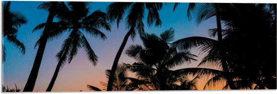 WallClassics - Acrylglas - Silhouette van Palmbomen op een Tropisch Strand - 90x30 cm Foto op Acrylglas (Met Ophangsysteem)