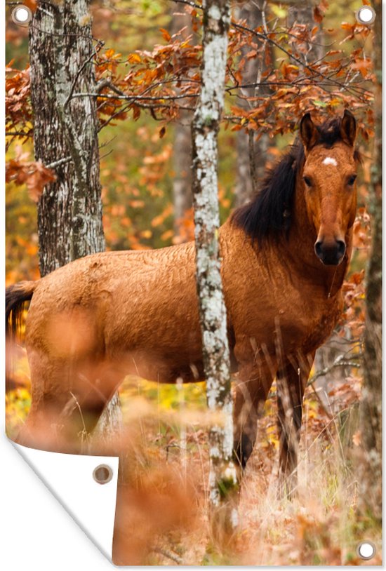 Tuindecoratie Paard - Bos - Bruin - 40x60 cm - Tuinposter - Tuindoek - Buitenposter