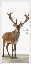 Deursticker kinderkamer - Deurdecoratie jongens - Hert - Dieren - Gewei - Kinderen - Meisjes - Jongens - 75x205 cm - Muurdecoratie meisjeskamer - Wanddecoratie