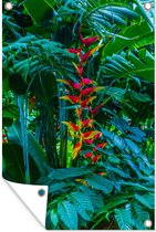 Tuinposter - Tuindoek - Tuinposters buiten - Planten - Tropisch - Bloemen - 80x120 cm - Tuin