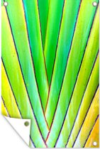 Tuinposter - Tuindoek - Tuinposters buiten - Plant - Bladeren - Geel - 80x120 cm - Tuin