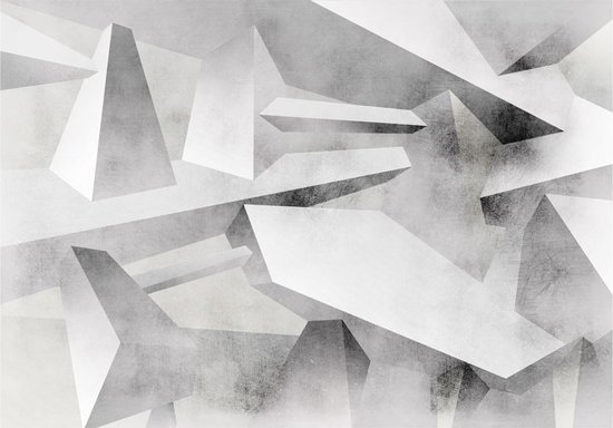 Fotobehangkoning - Behang - Vliesbehang - Fotobehang Geometrie 3D - Frozen wings - 150 x 105 cm