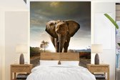 Behang - Fotobehang Olifant - Weg - Dieren - Zonsondergang - Landschap - Breedte 190 cm x hoogte 260 cm