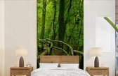 Behang - Fotobehang Jungle - Brug - Mos - Natuur - Tropisch - Breedte 120 cm x hoogte 240 cm